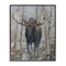 Stupell Industries Moose in Winter Birch Forest Framed Giclee, design by James Corwin